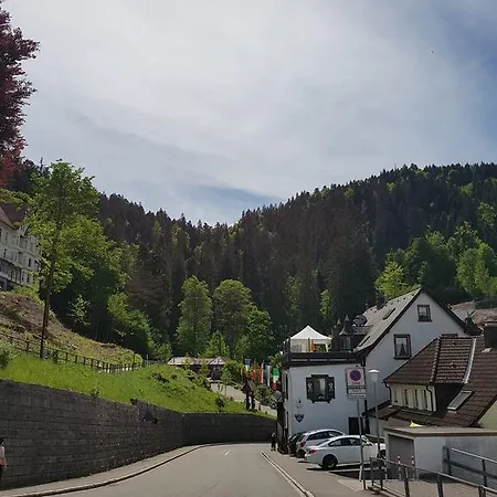 Almatar Apartment Schonach im Schwarzwald