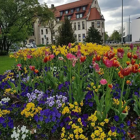 Almatar * Schonach im Schwarzwald