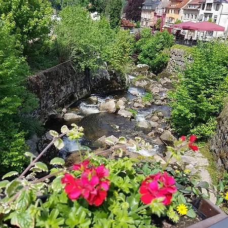 Apartment Almatar Schonach im Schwarzwald