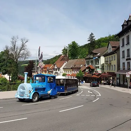 Apartment Almatar Schonach im Schwarzwald